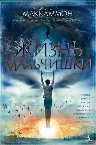 Жизнь мальчишки