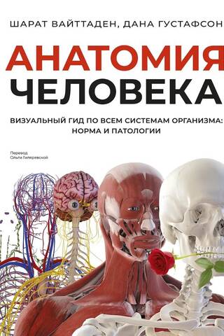 Анатомия человека. Визуальный гид по всем системам организма: норма и патологии