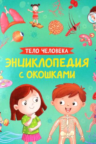 Тело человека