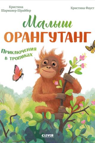 Baby Orangutan: Adventures in the Tropics