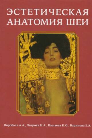 Эстетическая анатомия шеи