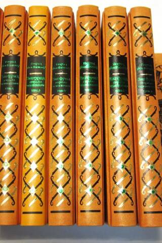 Siegfried: King of Champions. In 10 volumes.