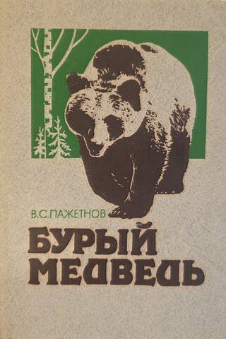Brown bear