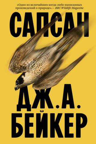 Сапсан