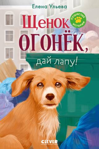 Щенок Огонек, дай лапу!