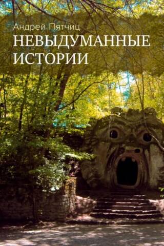 Невыдуманные истории. Книга первая