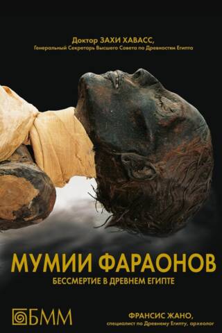Mummies of the Pharaohs: Immortality in Ancient Egypt