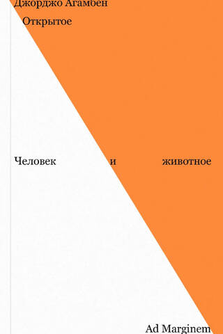 Открытое. Человек и животное