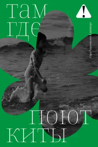 Там, где поют киты