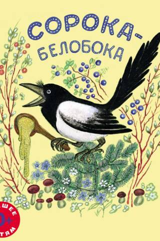 White-sided magpie