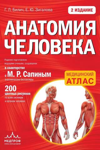 Анатомия человека