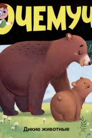 Why-Why. Wild Animals