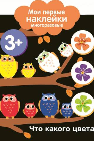 My first reusable stickers are 3+. What colors are they?