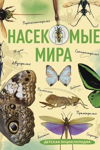 Insects of the World: A Children's Encyclopedia