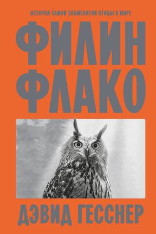 Flaco the Eagle Owl: The Story of the World's Most Famous Bird