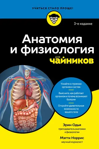 Анатомия и физиология для чайников