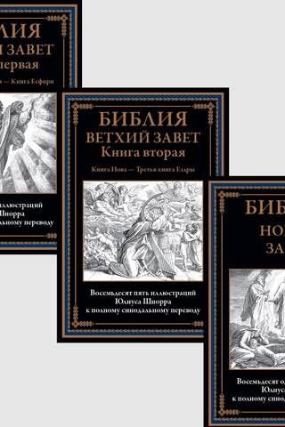The Bible. Old Testament. New Testament. In 3 volumes.