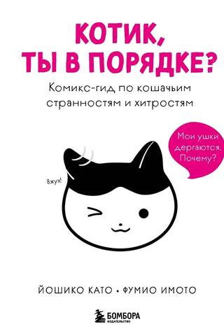 Kitty, are you okay? A comic guide to feline quirks and quirks.