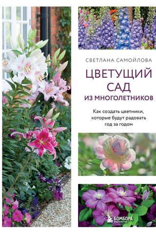 A Blooming Perennial Garden: How to Create Flowerbeds That Will Bless You Year After Year