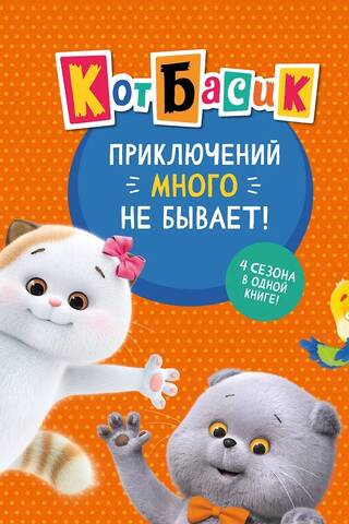 Basik the Cat. There are never too many adventures!