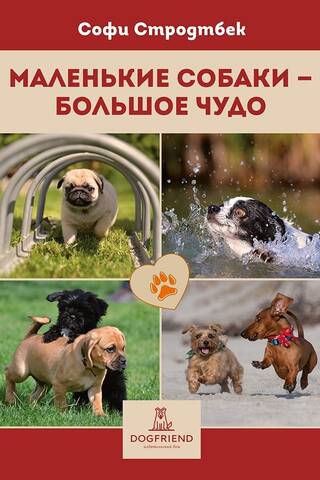 Little dogs are a big miracle