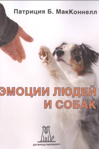 Emotions of people and dogs