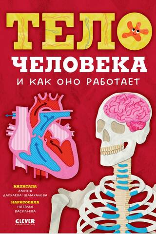 Тело человека и как оно работает