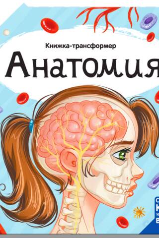 Transformer Book: Anatomy