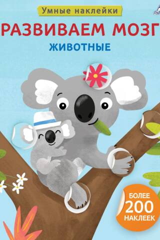 Brain Development: Animals