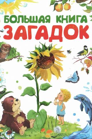 Большая книга загадок
