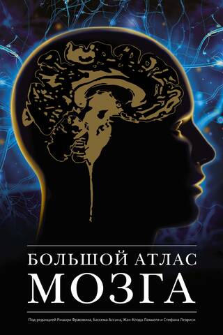 The Big Brain Atlas