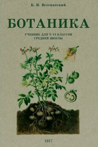 Ботаника для 5–6 классов средней школы