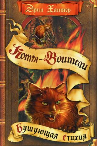 Warriors: Book 4: The Raging Elements