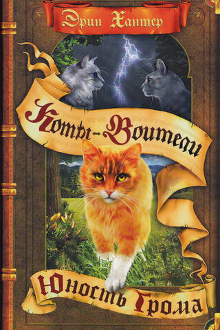 Начало племен. Книга 2. Юность Грома