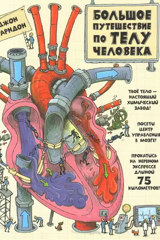 Большое путешествие по телу человека