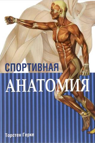 Sports anatomy