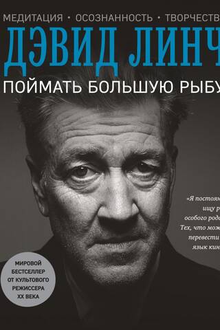 Поймать большую рыбу