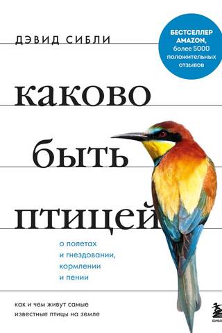Каково быть птицей: о полетах и гнездовании, кормлении и пении. Как и чем живут самые известные птицы на земле