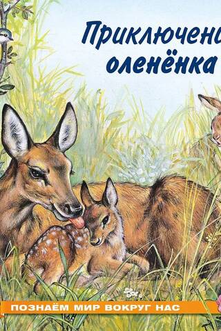 Exploring the World Around Us: The Adventures of a Fawn