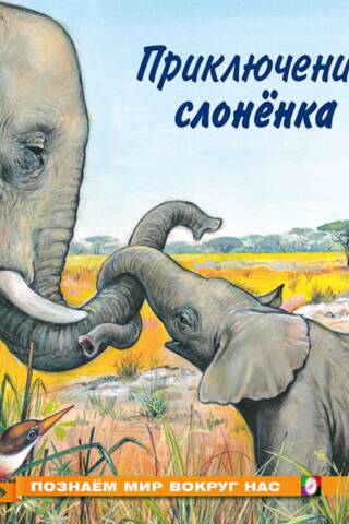 Exploring the World Around Us: The Adventures of a Baby Elephant