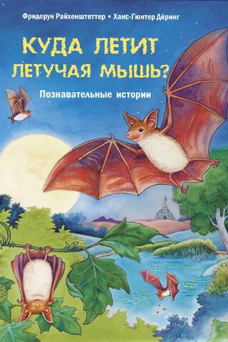 Куда летит летучая мышь? Познавательные истории