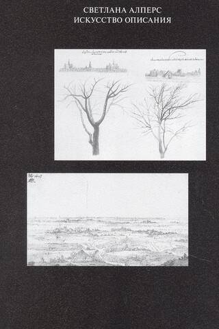 Искусство описания. Голландская живопись в XVII веке