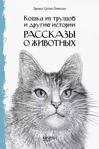 Slum Cat and Other Stories. Animal Stories