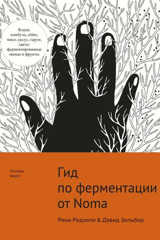 Гид по ферментации от Noma