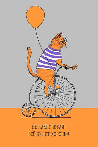 Postcard. Don't worry! Everything will be fine! A ginger cat on a bicycle.