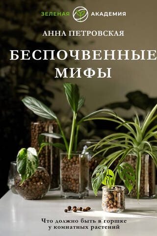 Что должно быть в горшке у комнатных растений. Беспочвенные мифы
