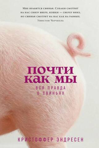 Almost like us. The whole truth about pigs.