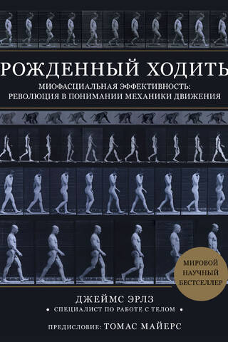 Рожденный ходить. Миофасциальная эффективность: революция в понимании механики движения