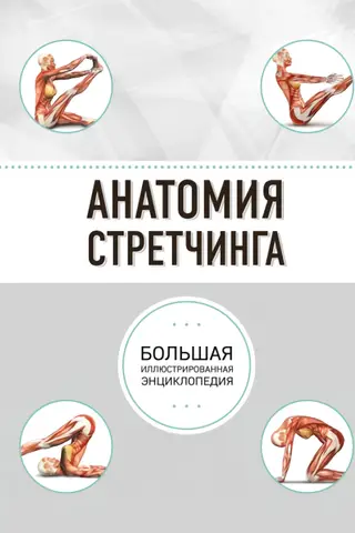 Анатомия стретчинга. Большая иллюстрированная энциклопедия