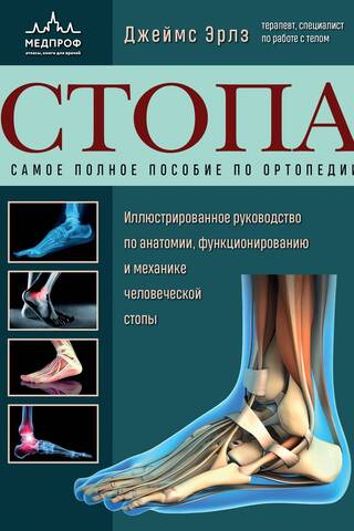 Foot. The most comprehensive guide to orthopedics.
